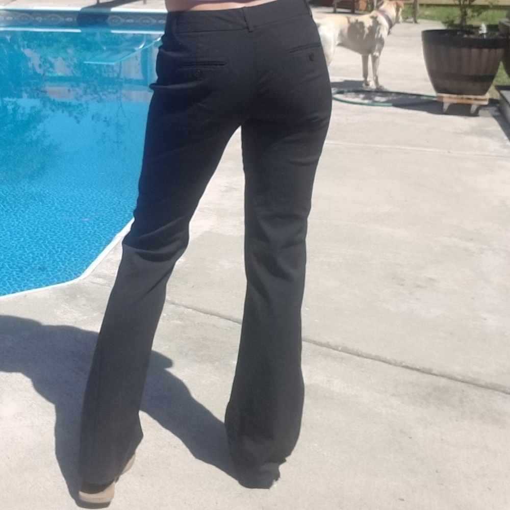 Express editor dress pants